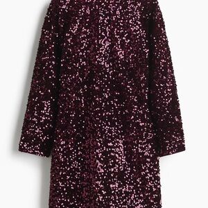 H&M Burgundy Sequin Dress